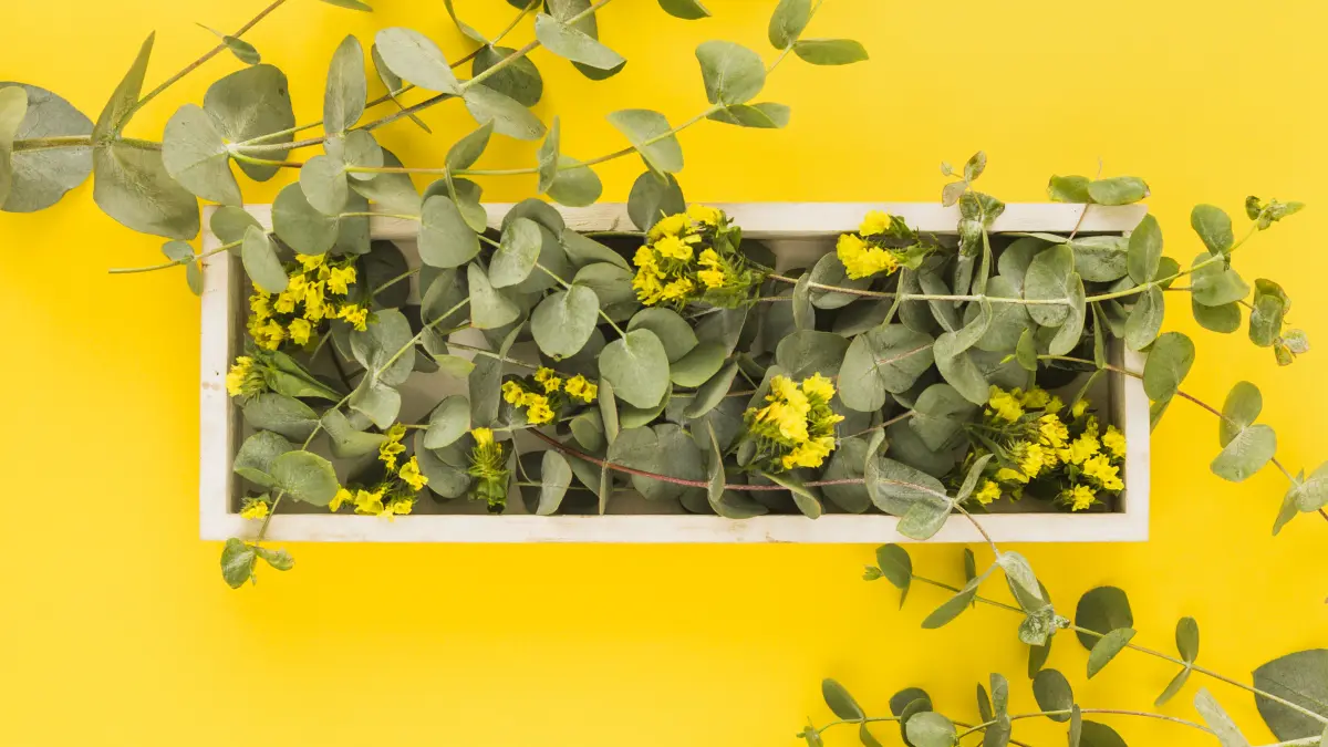L'été de l'Office : Composition de plantes avec création de support