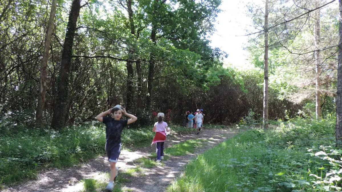 Votre été dans le Grand Cubzaguais avec les Anim’été