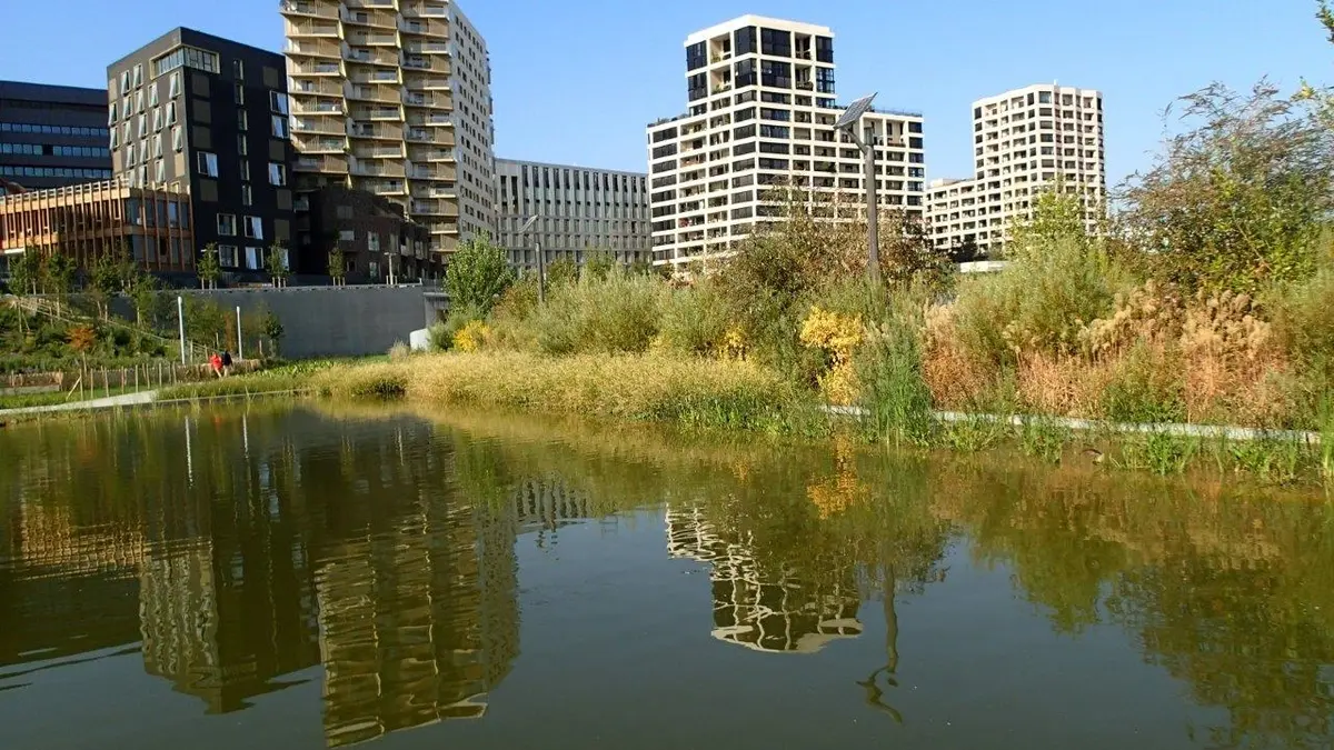 Visite du square des Batignolles au Parc Martin Luther King
