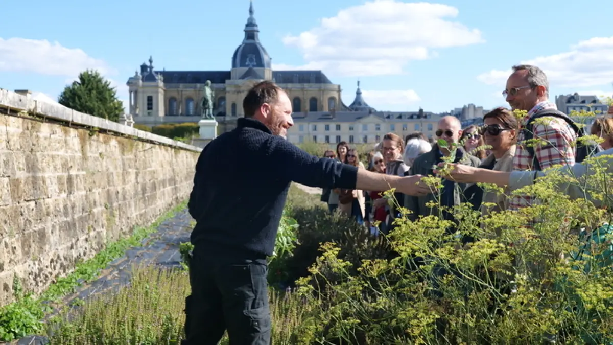 Visites guidées du Potager du Roi