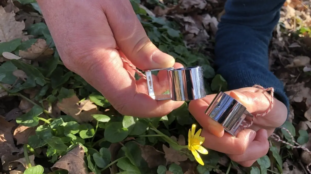 Dans l'oeil du botaniste