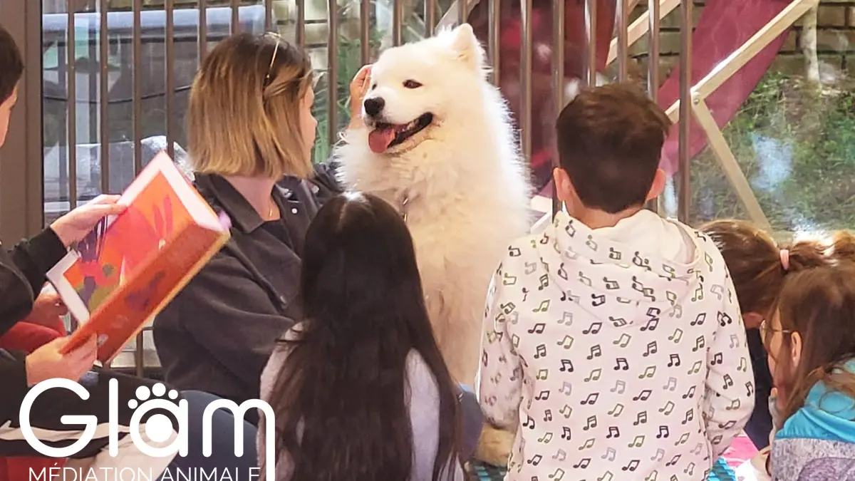 Médiation animale : lire avec un chien