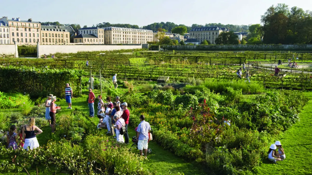 Visite guidée thématique : Un jardin de transmission depuis l'origine