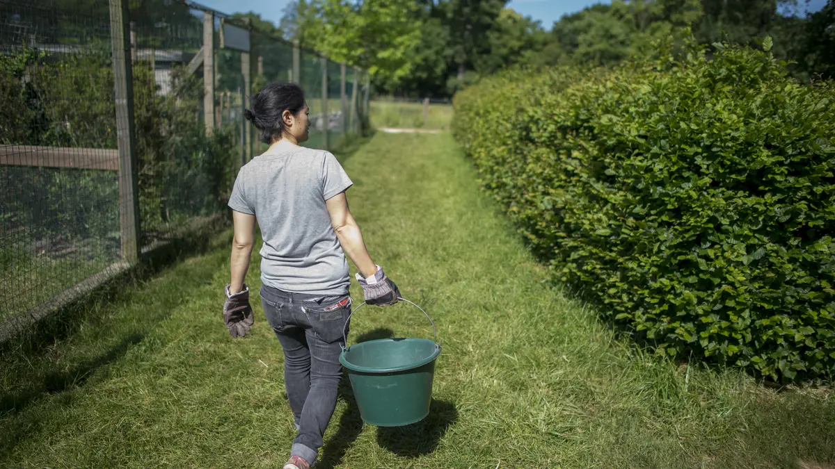 Soigneur d'un jour à la Ferme de Paris