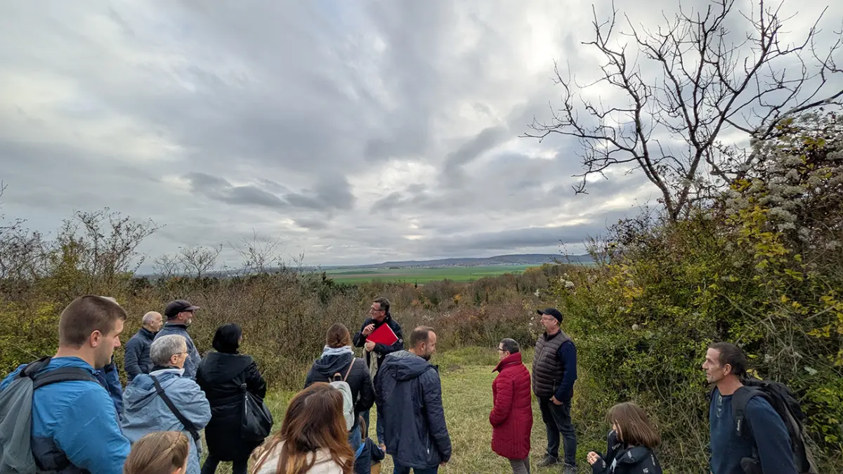 Visite guidée à Berry-au-Bac : "La cote 108 et son cratère de mine"