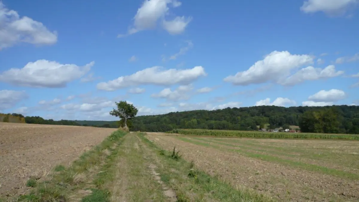 Les trois Monts