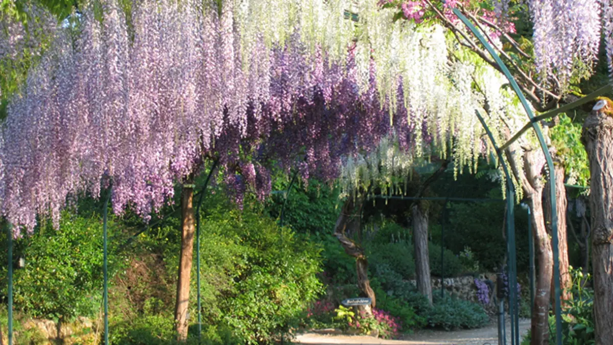 Parc Floral d'Apremont-sur-Allier