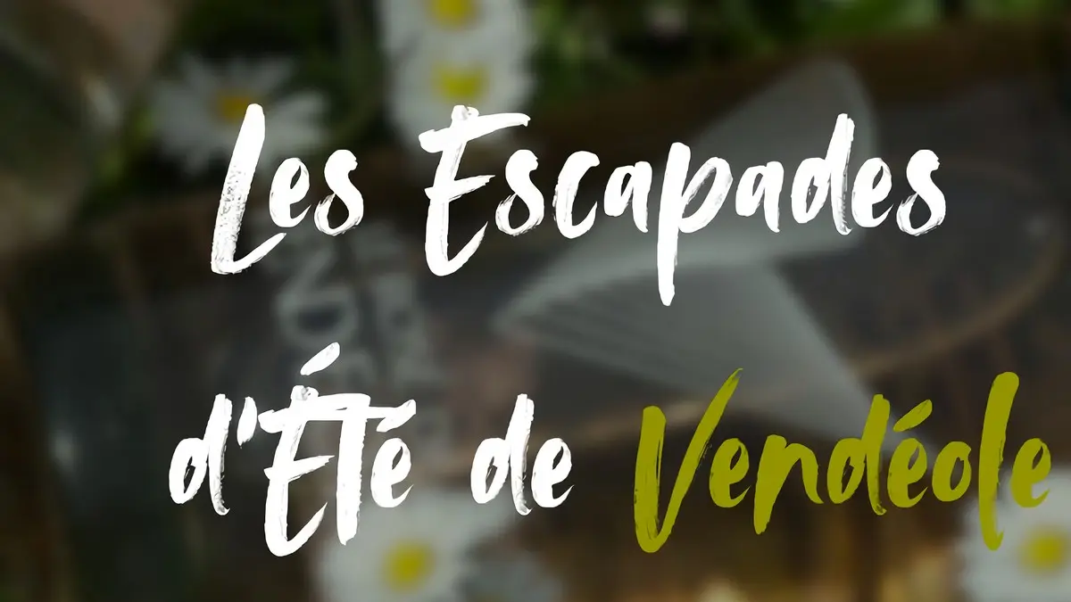 LES ESCAPADES D’ÉTÉ DE VENDÉOLE - SENS ET SAVEURS
