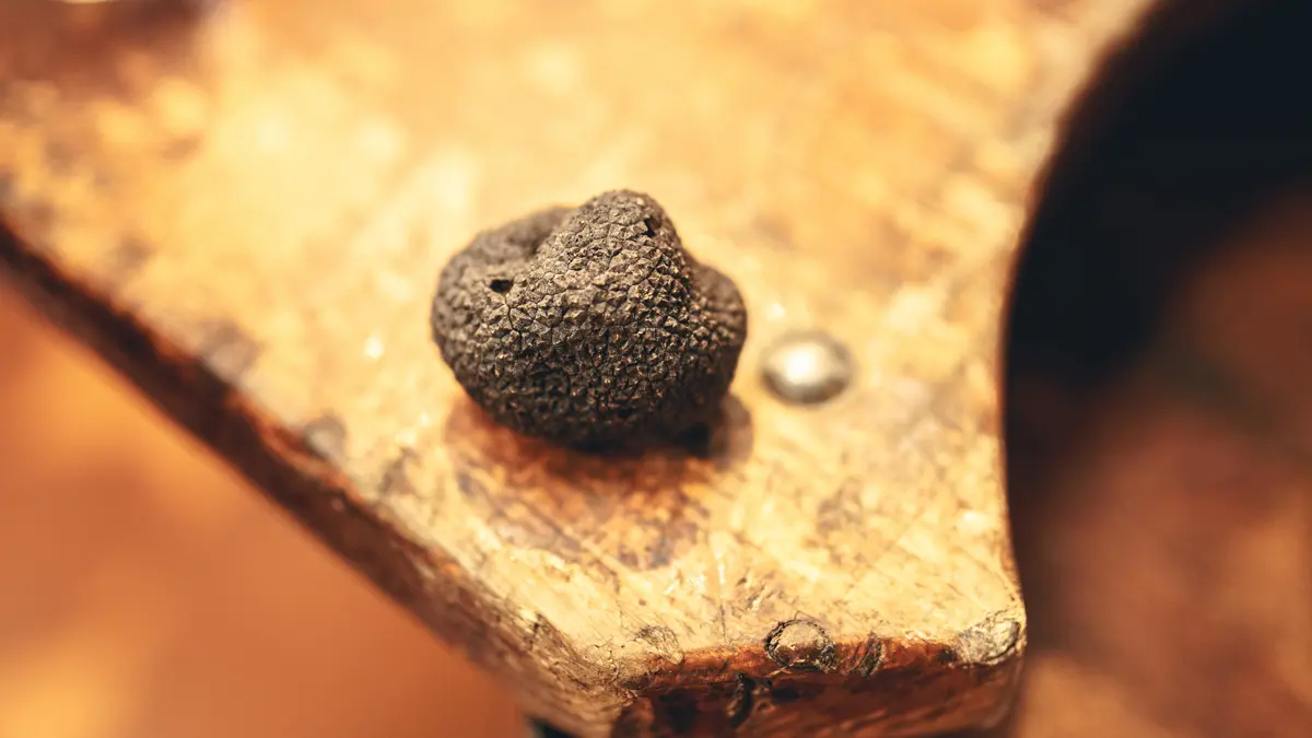 MARCHÉ AUX TRUFFES & PRODUITS DE L'AUDE