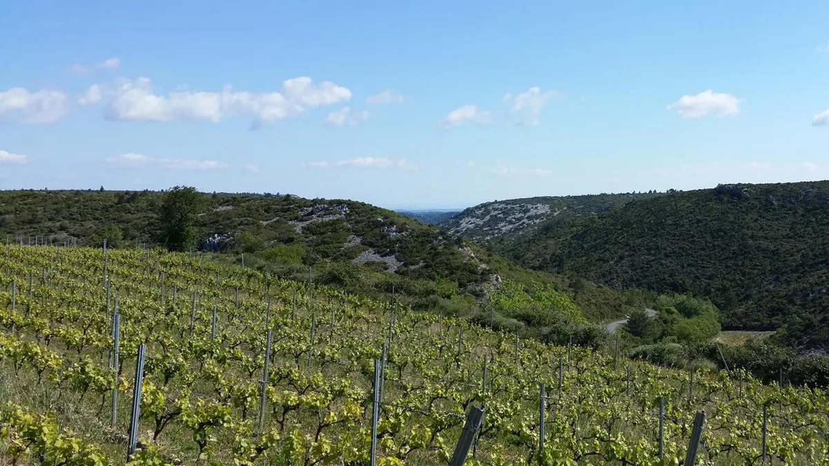 DE FERME EN FERME - NARBONNAIS, CORBIERES-MINERVOIS