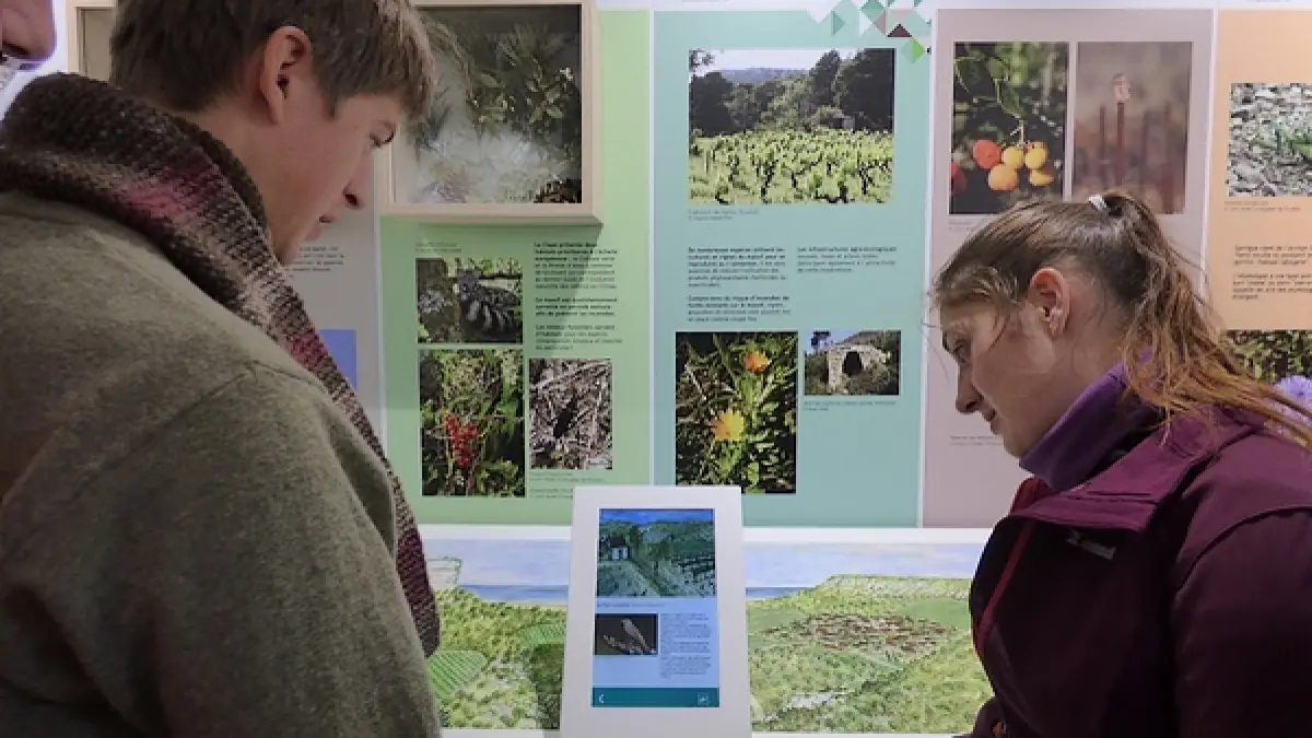 MAISON DE LA CLAPE - PARCOURS NATURE