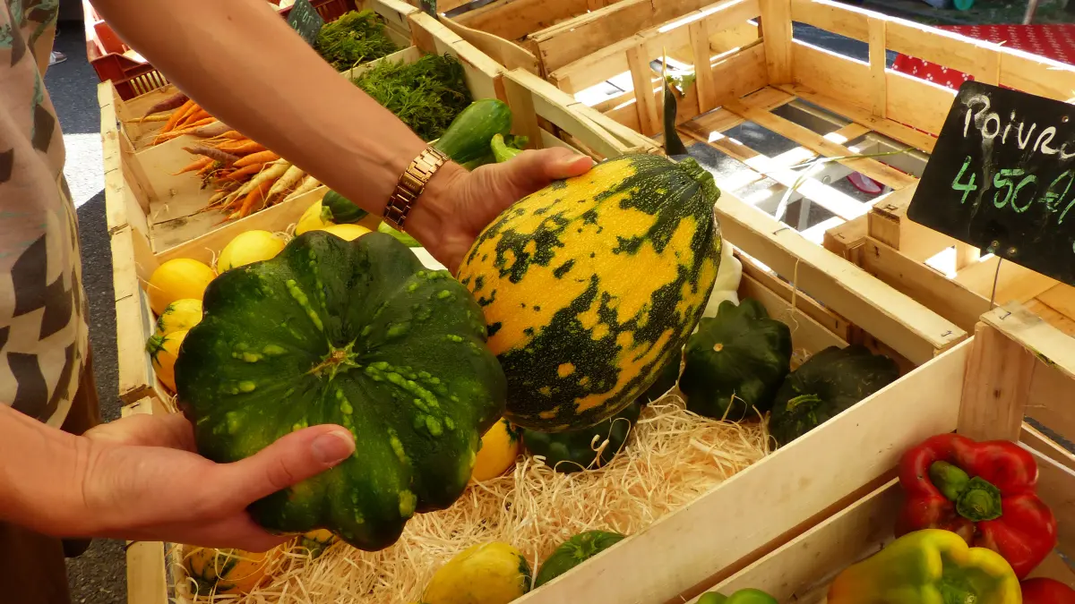Marché à Limogne-En-Quercy
