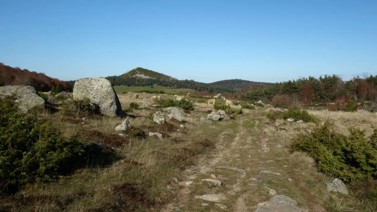 GR® de Pays Tour des Monts d'Aubrac : De la Baume à Bonnecombe