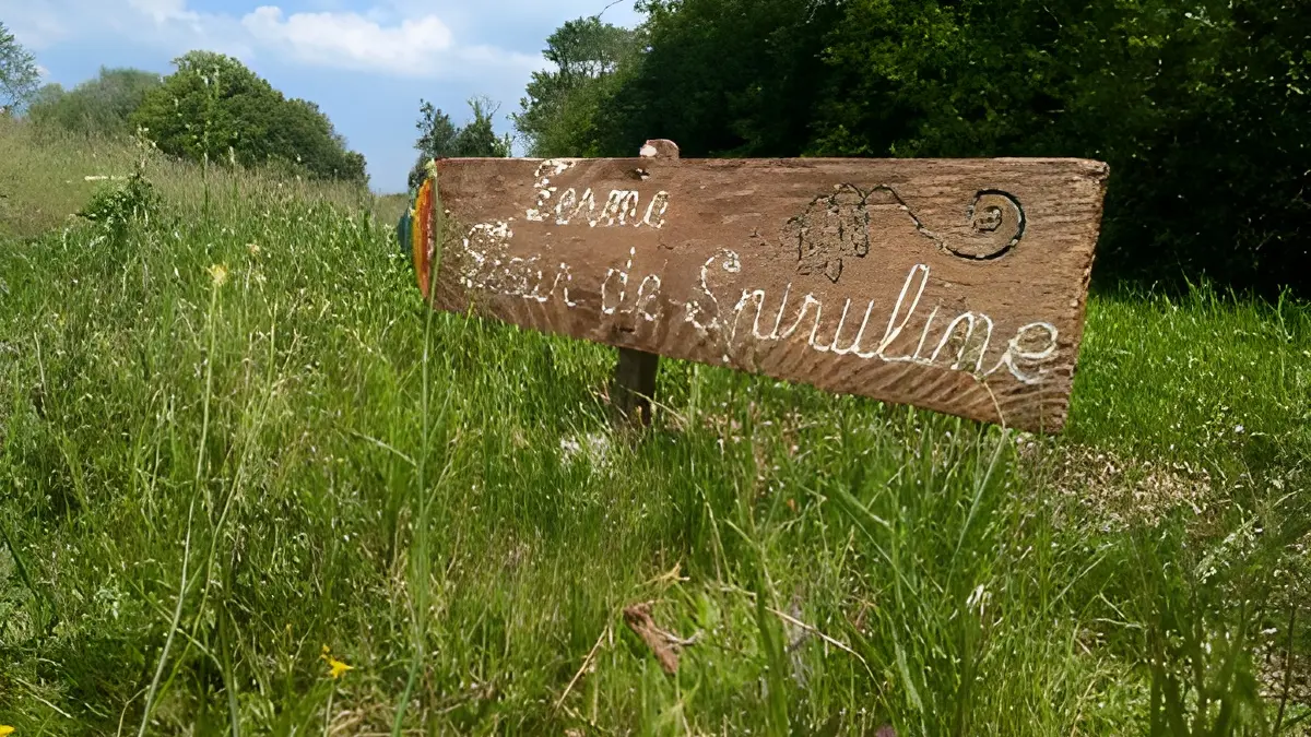 Visite guidée gratuite de la ferme de spiruline Akal