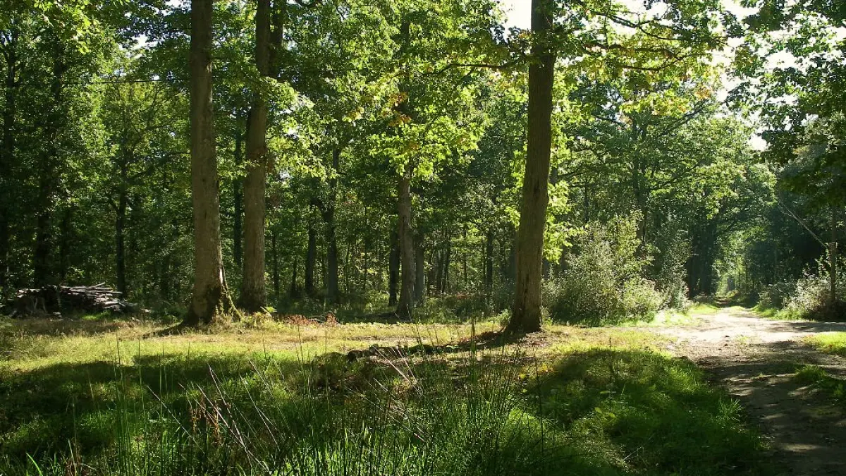 Entre Cingal et Vallée de l'Orne