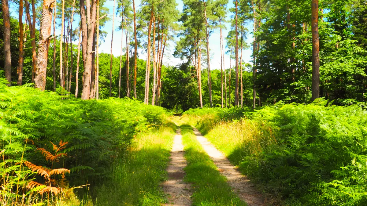 Dun le Poelier La Marivolle