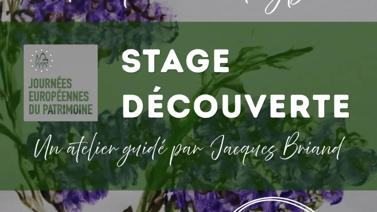 [JEP] Stage découverte peinture aux doigts
