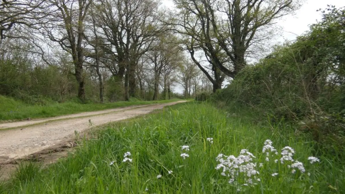 23 - Boucle des Chaumes - Marçais