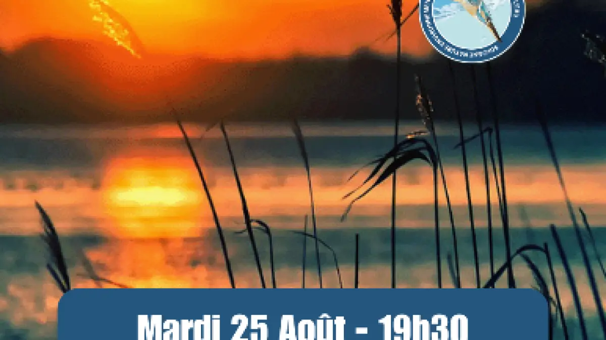 Estivales - Mardis soir au bord de l'eau - Châtres-sur-Cher