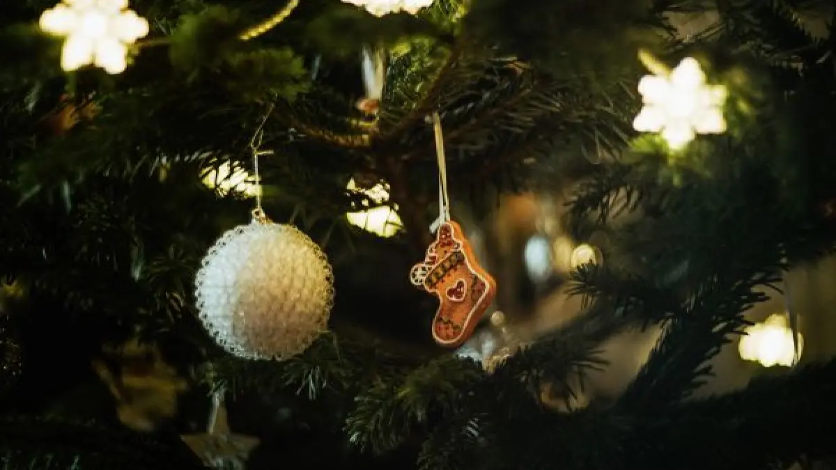 Marché de Noël de Pruniers