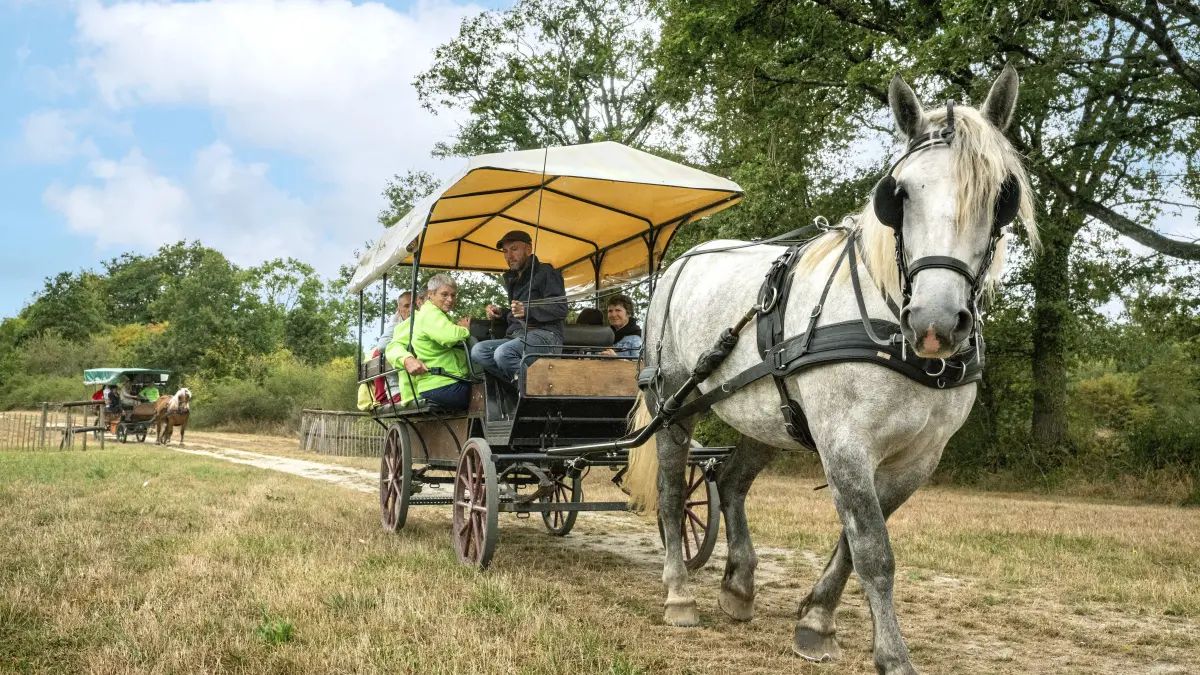 Pôle du Cheval et de l'Âne