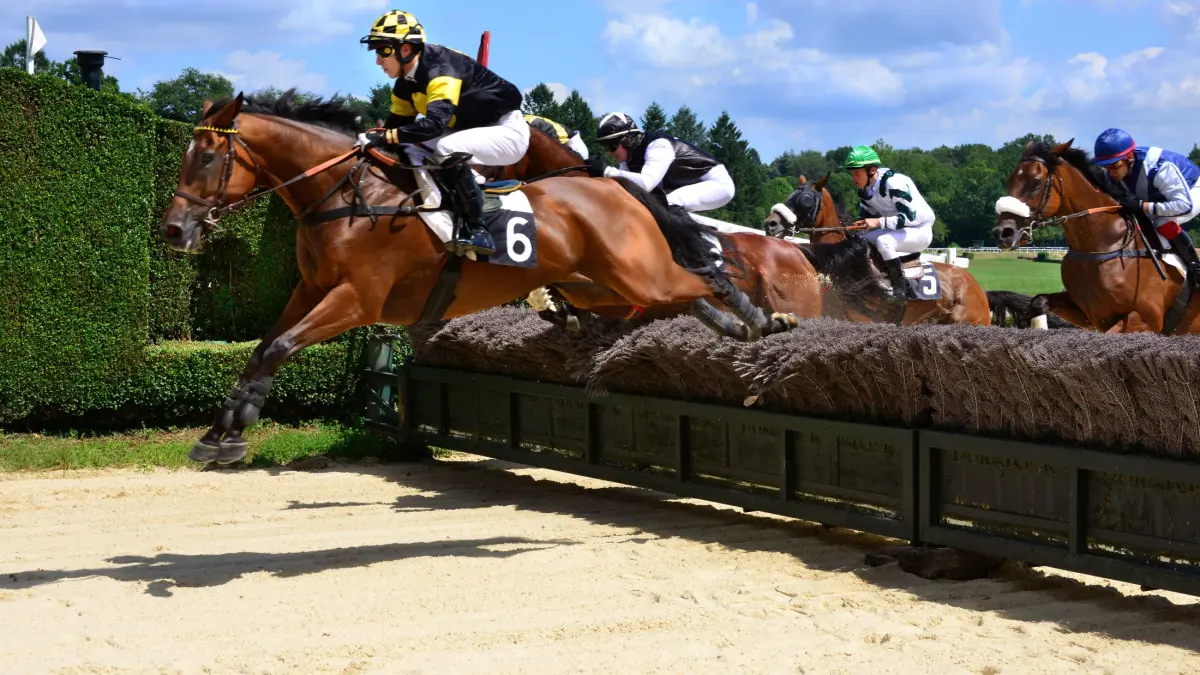 Courses hippiques : Petits jockeys et grands sourires