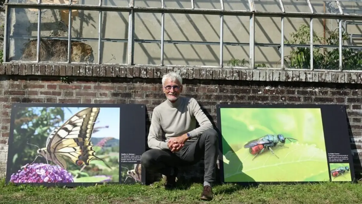 Balades poétiques sur les insectes