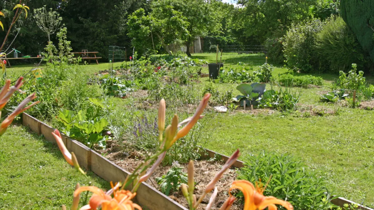 Visite libre jardin pédagogique