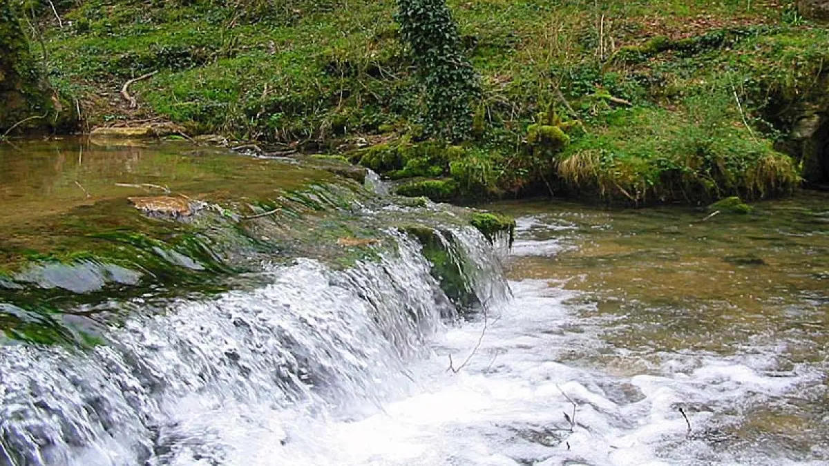 La source de l'Aube PR N°100