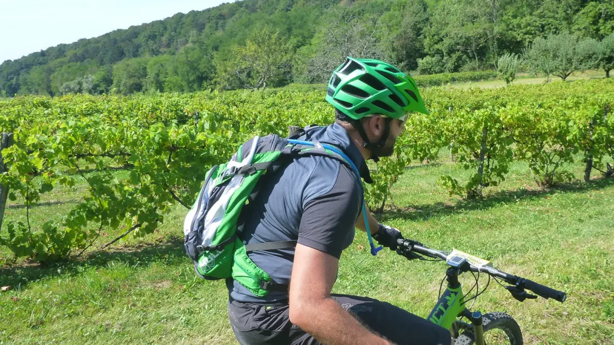 Le Mont Varin - n° 20