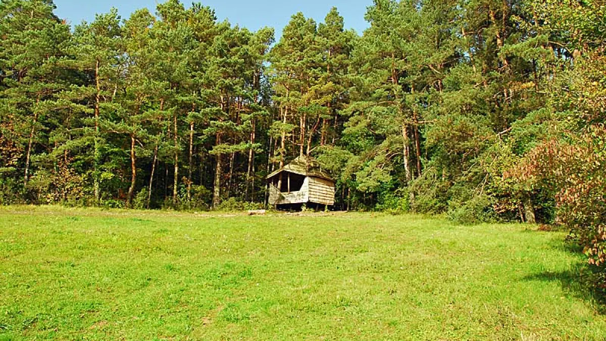 Cabane nature de la Sauvageonne