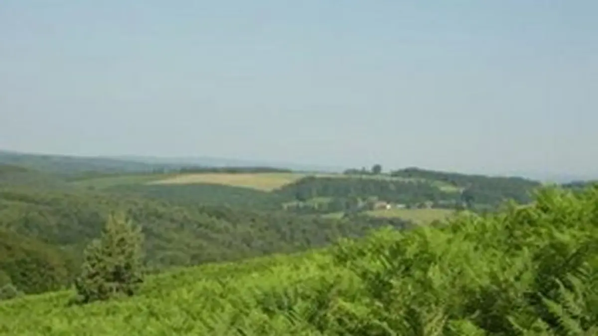 Sentier d'interprétation des landes de Gioux