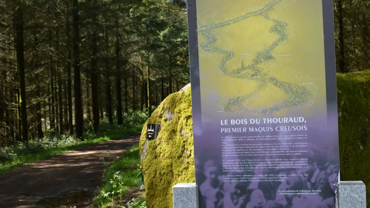 Bois du Thouraud, premier maquis Creusois