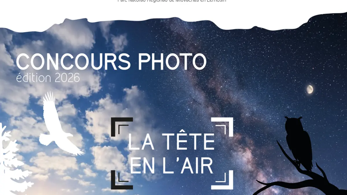CONCOURS PHOTO