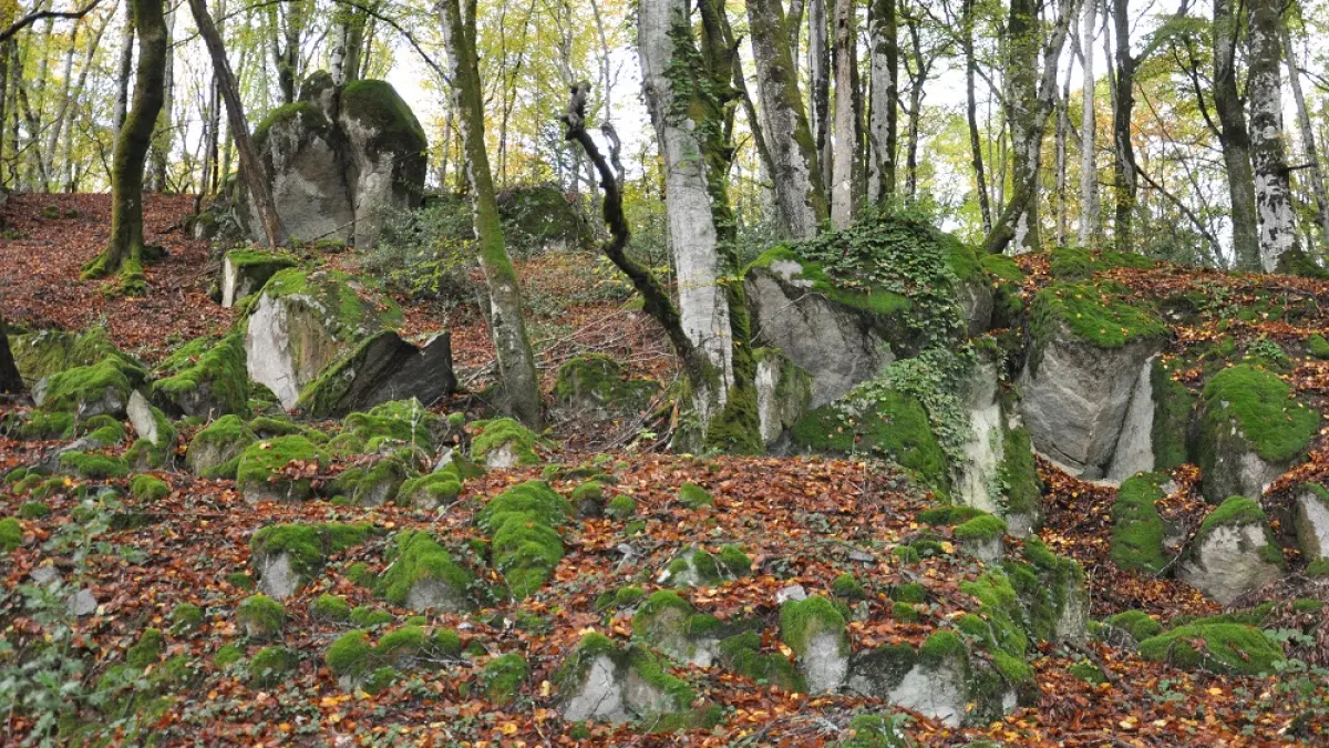 Circuit de randonnée  : Le tour du Jarissou