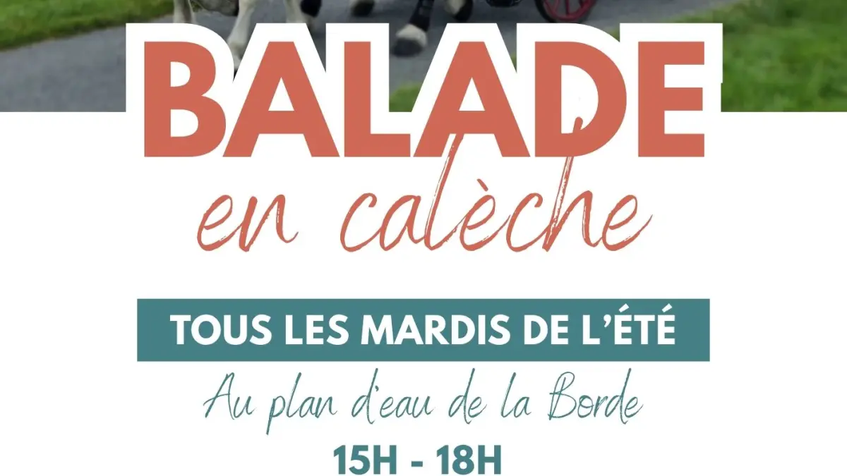 Balade en calèche à La Borde