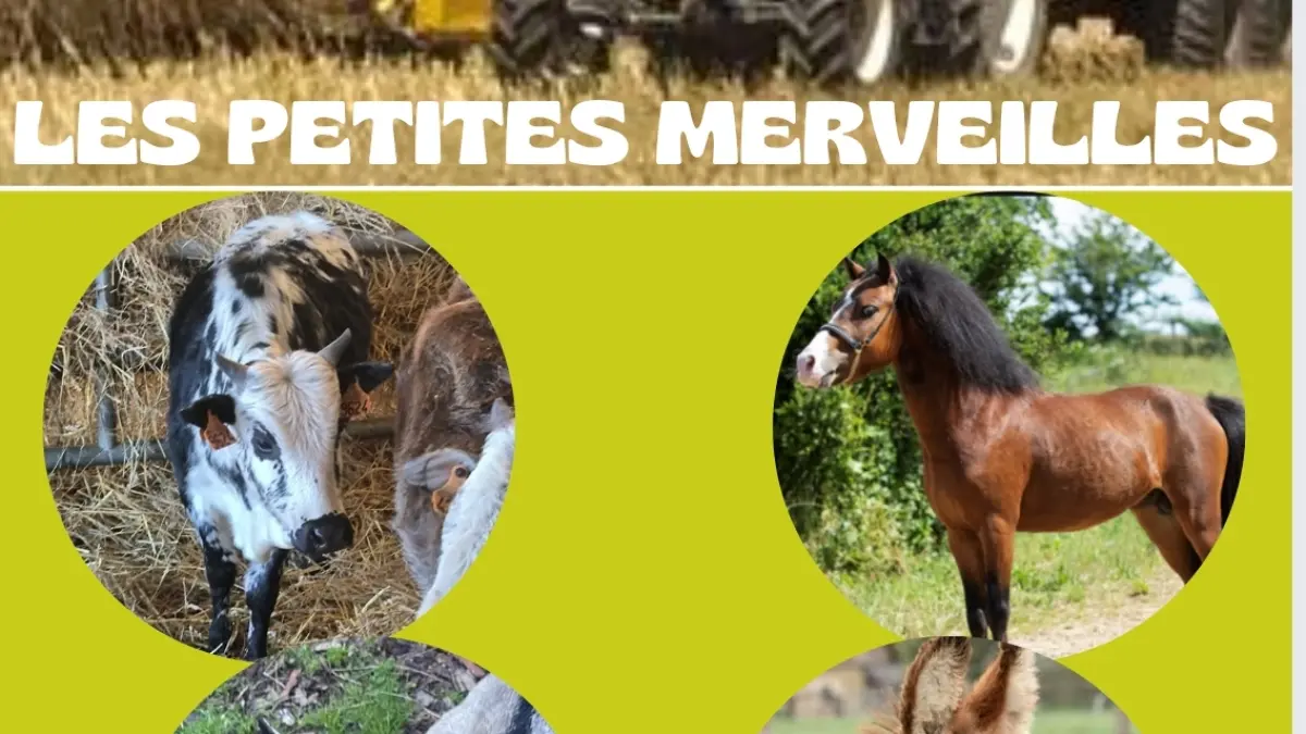 Ferme pédagogique
