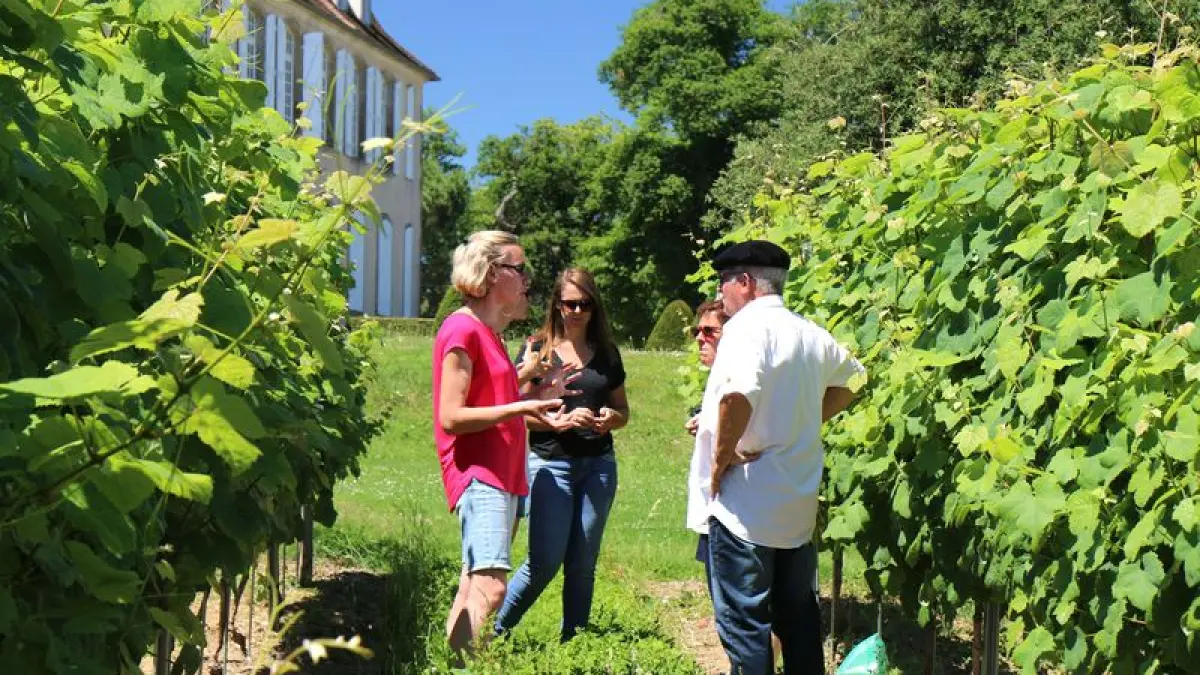Visite "Crouseilles Signature", au Château de Crouseilles