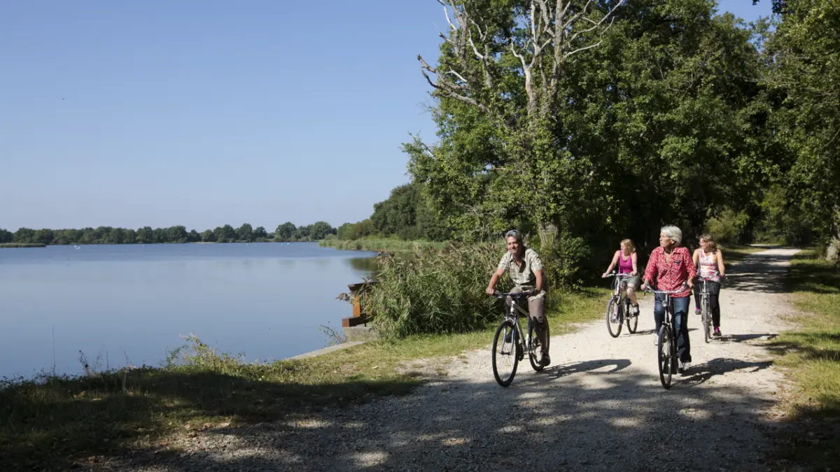 Itinéraire vélo n°5 - Grande boucle des étangs de la Brenne