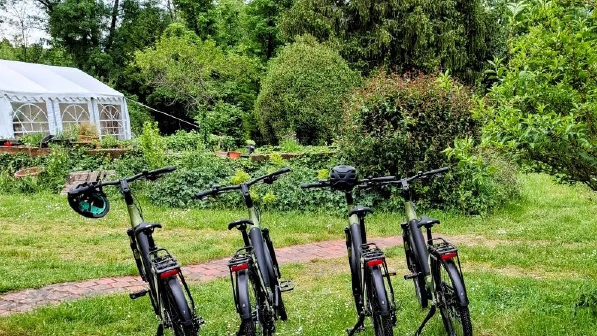 Location de vélos au "Lion de Brenne"