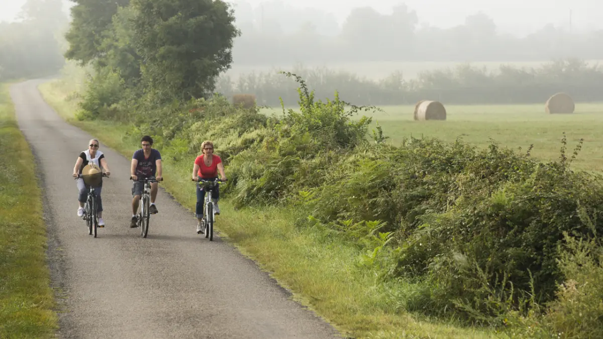 Itinéraire vélo n°12 - Balade champêtre en queue de Brenne