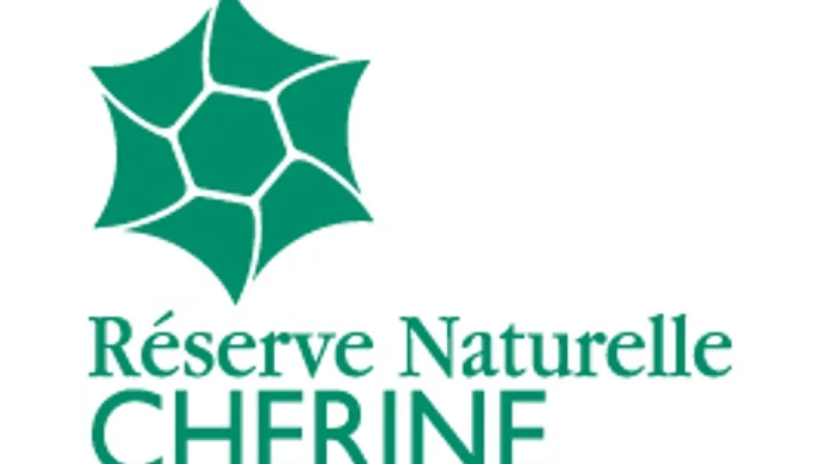 Observatoire de l'étang Purais (Réserve naturelle de Chérine)