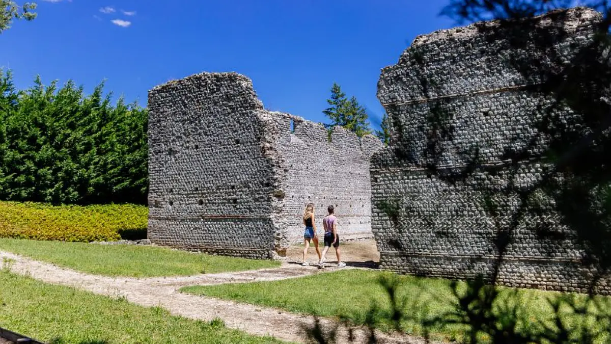 Archéologie et viticulture