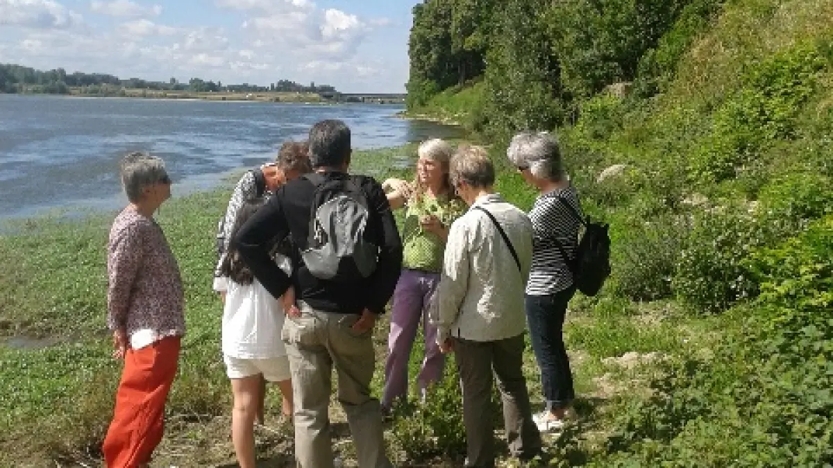 Rendez-vous avec l'Observatoire Loire - Balade ligérienne