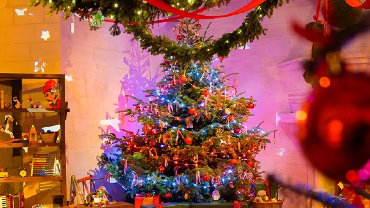 Noël au pays des châteaux : Noël au pays des fées