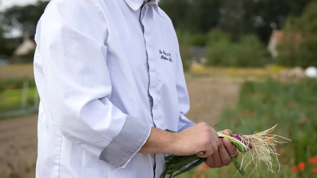 Ateliers culinaires à la Botte d'Asperges