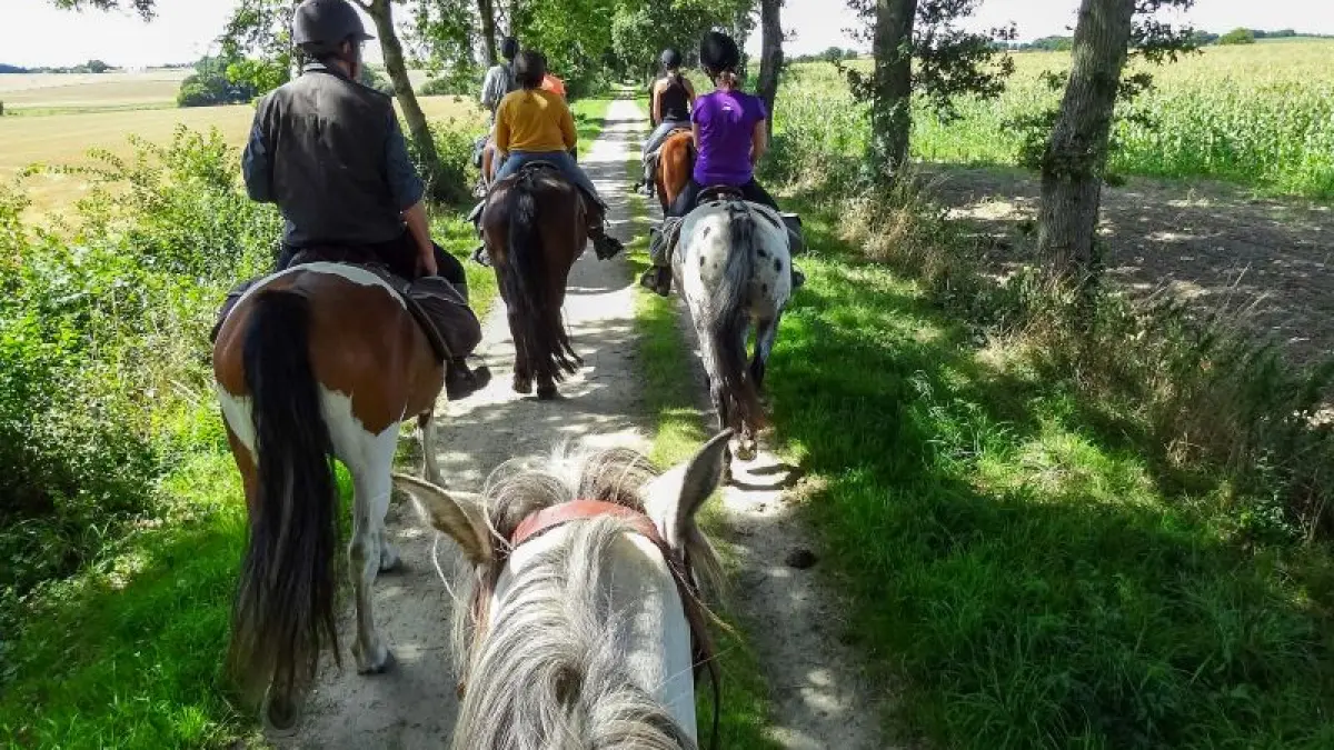 Balade à poney