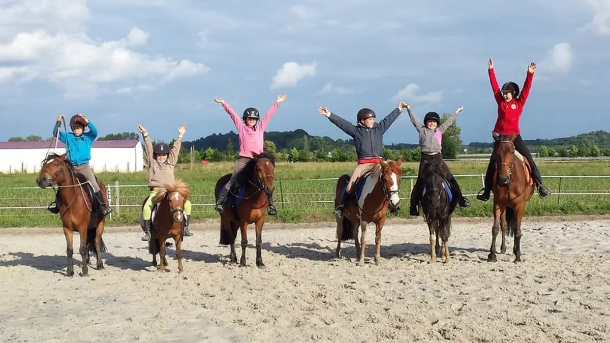 Poney club des îles