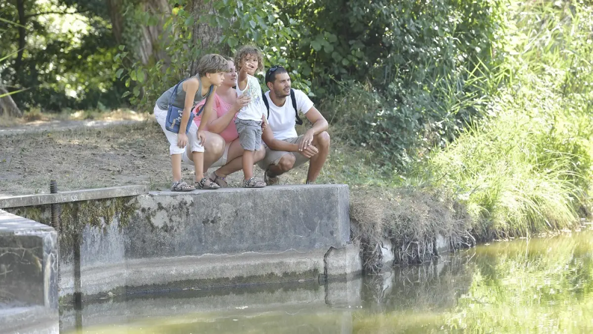 Etang de Massy