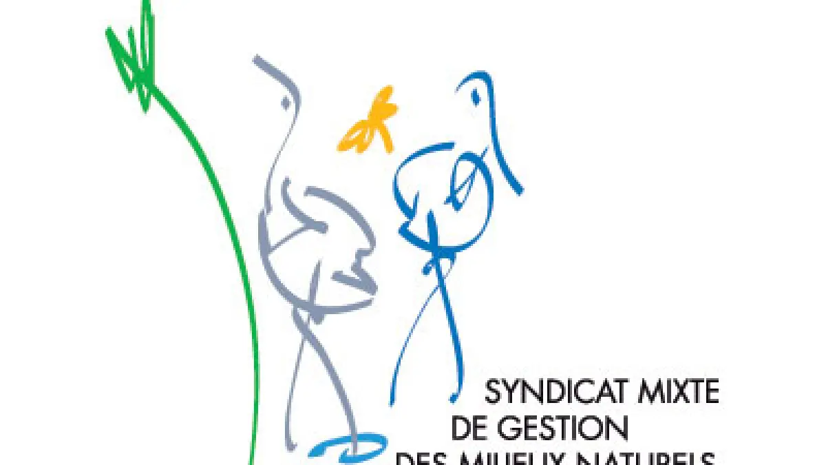 Baguage de passereaux